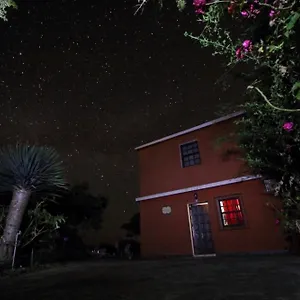 Bodega Goyo Apartment